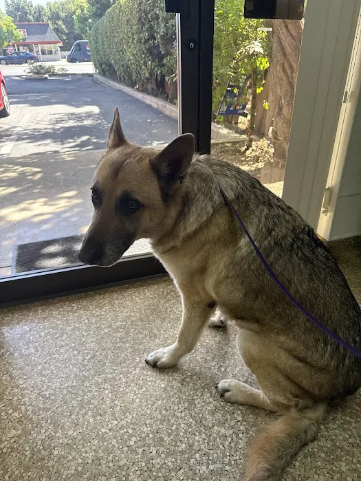 Alpine Animal Hospital Picture 2