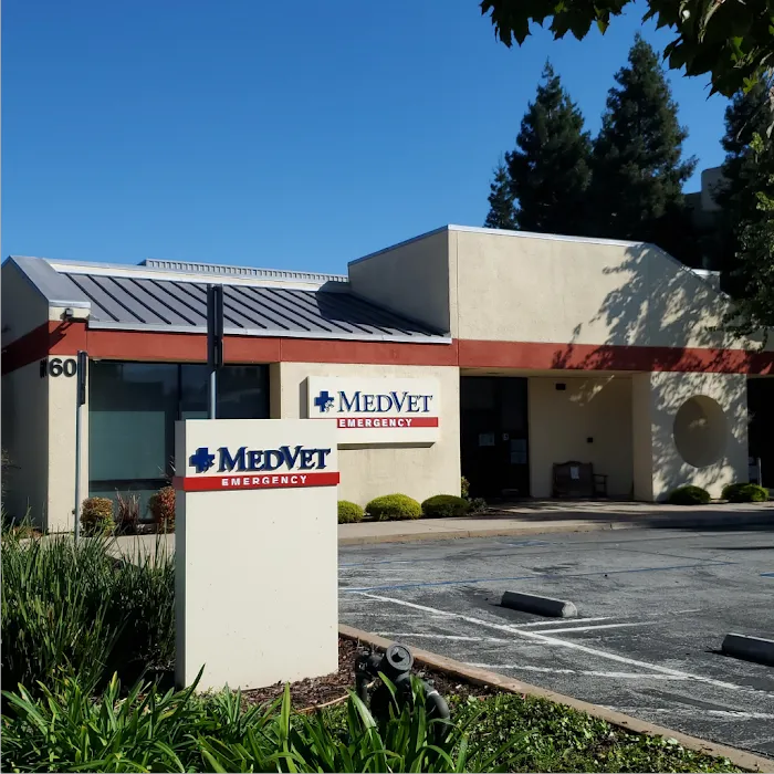 MedVet Mountain View Picture 9