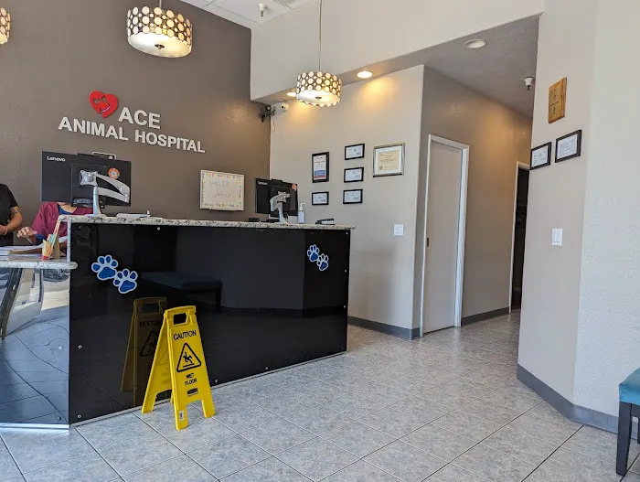 ACE Animal Hospital Picture 4