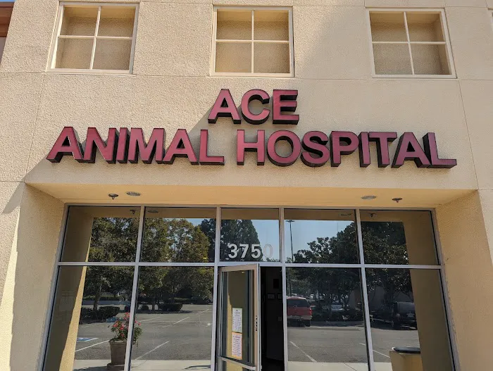 ACE Animal Hospital Picture 8