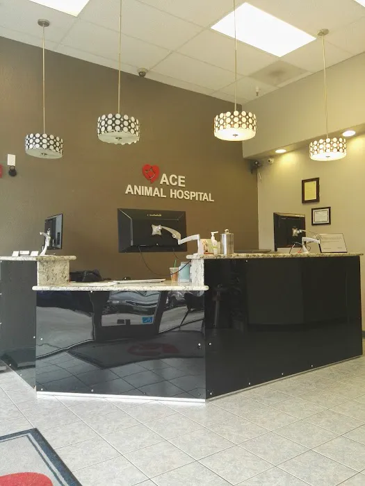 ACE Animal Hospital Picture 2