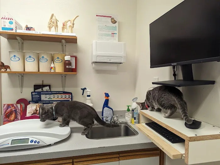 Mission Valley Veterinary Clinic Picture 1