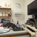 Mission Valley Veterinary Clinic