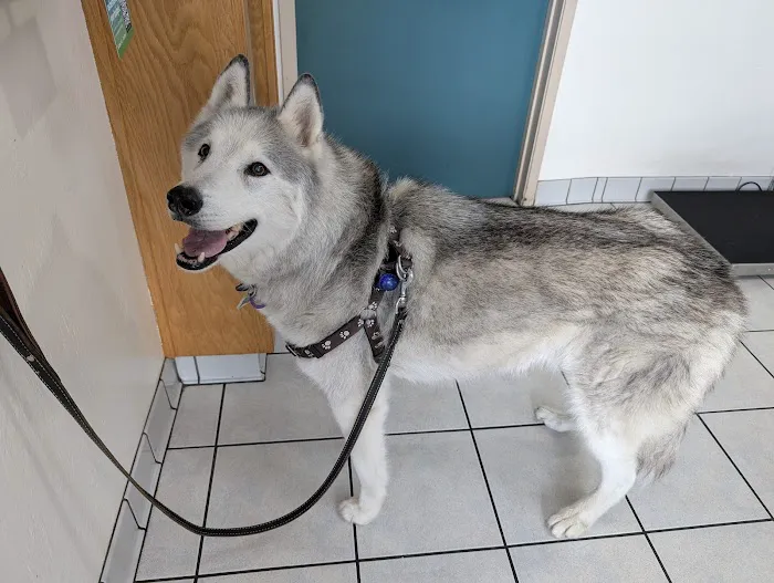 Mission Valley Veterinary Clinic Picture 4