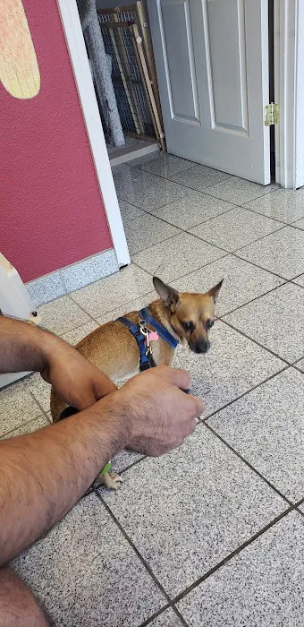 For Paws Spay & Neuter Clinic Picture 7