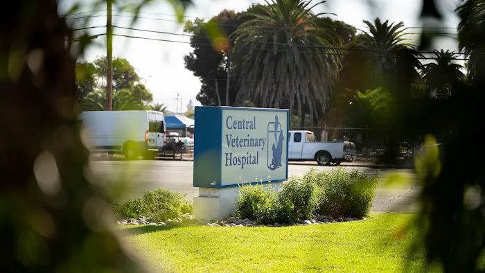 Central Veterinary Hospital Picture 4