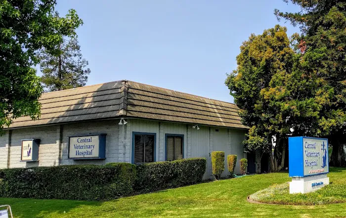 Central Veterinary Hospital Picture 7