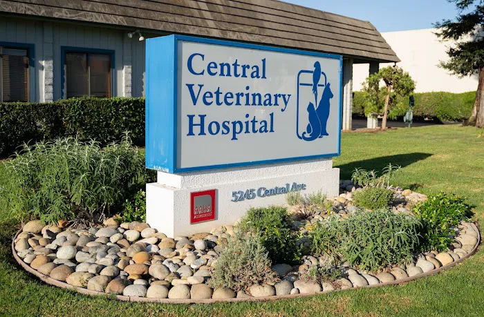 Central Veterinary Hospital Picture 2