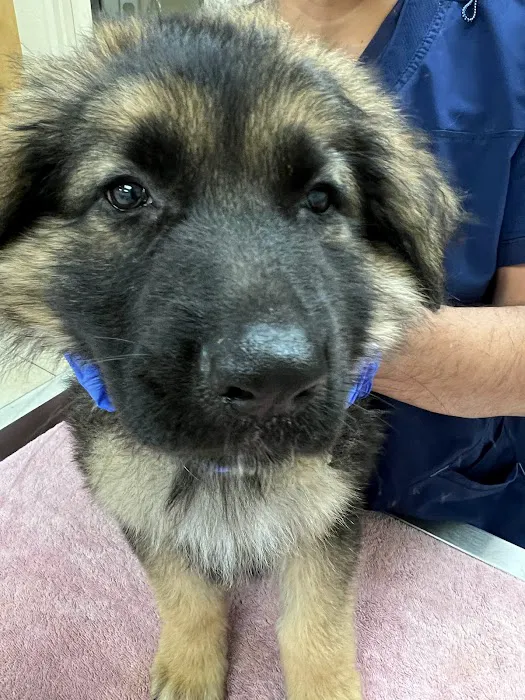 Tricity Veterinary Hospital Picture 10