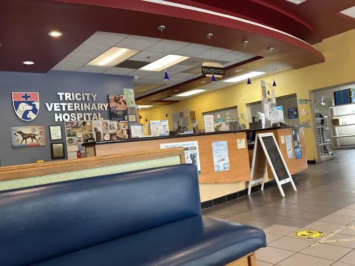 Tricity Veterinary Hospital Picture 1