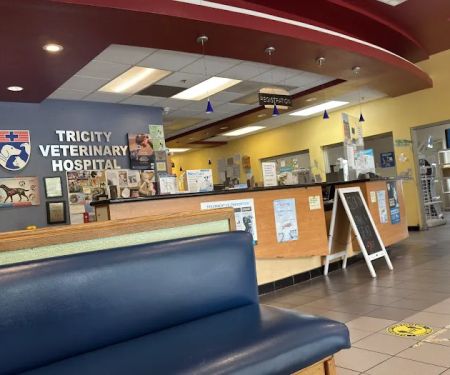 Tricity Veterinary Hospital