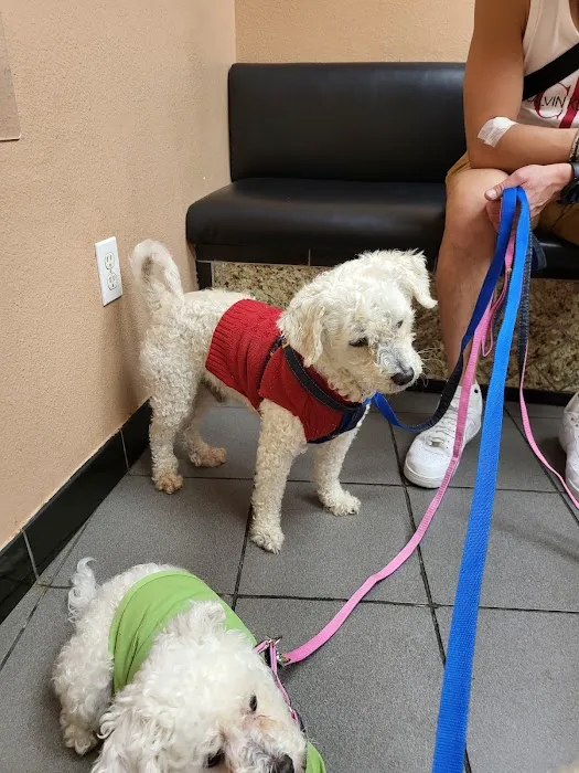 American Animal Care Center Picture 4
