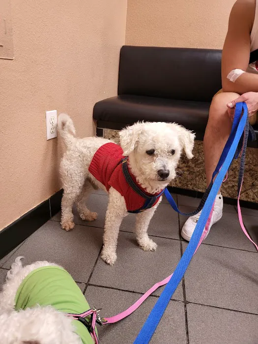 American Animal Care Center Picture 9