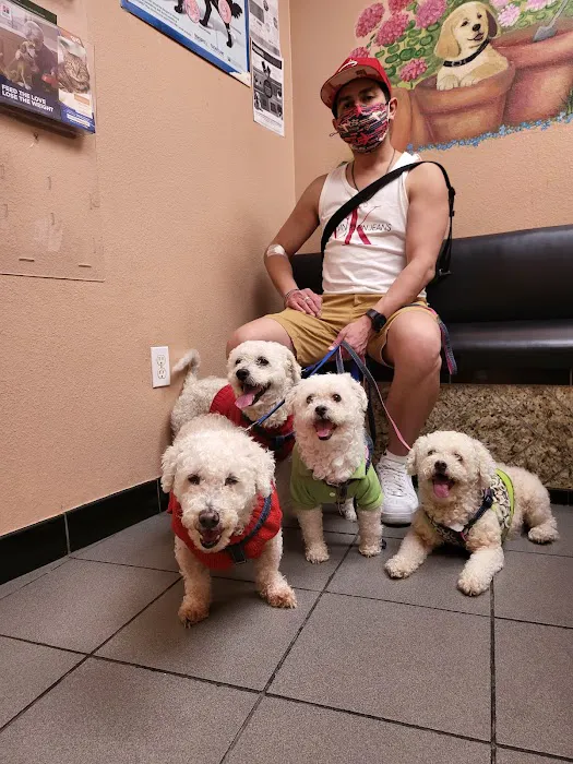 American Animal Care Center Picture 10