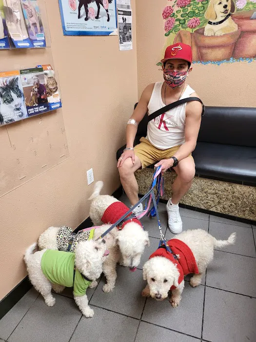 American Animal Care Center Picture 7