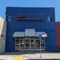 American Animal Care Center ico