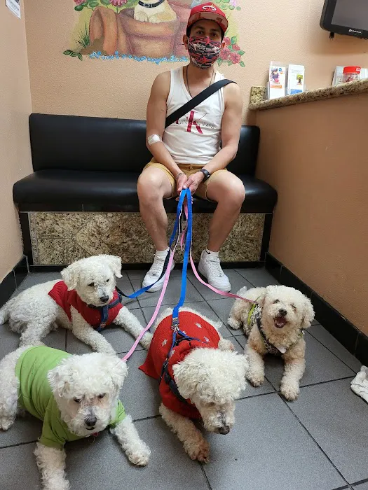 American Animal Care Center Picture 5
