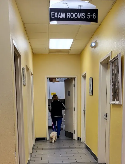 American Animal Care Center Picture 8