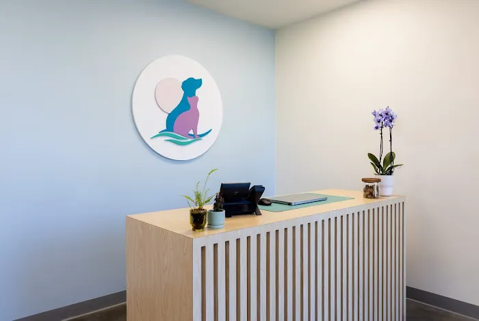 Shoreline Pet Hospital Picture 9