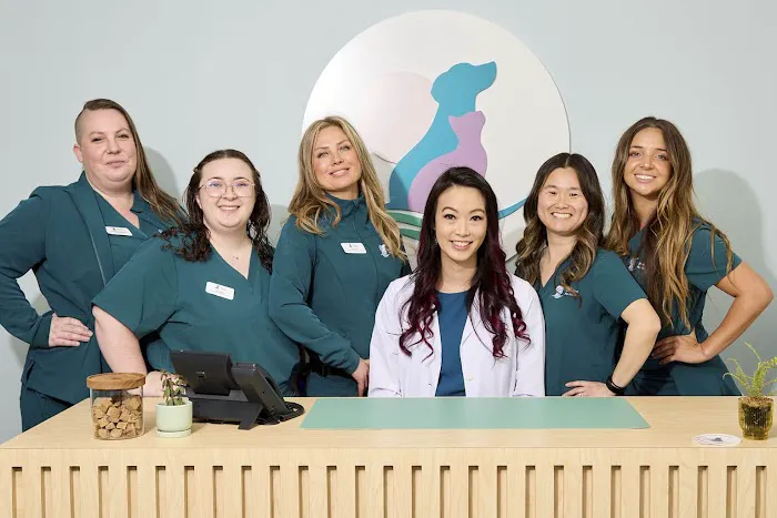 Shoreline Pet Hospital Picture 3