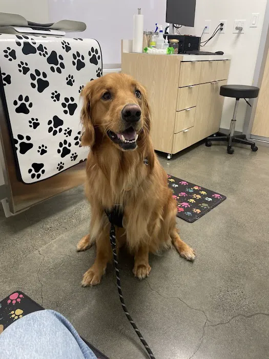 Shoreline Pet Hospital Picture 1