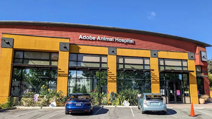 Adobe Los Altos Picture 6