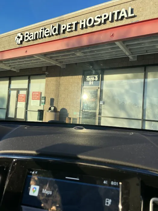 Banfield Pet Hospital Picture 1