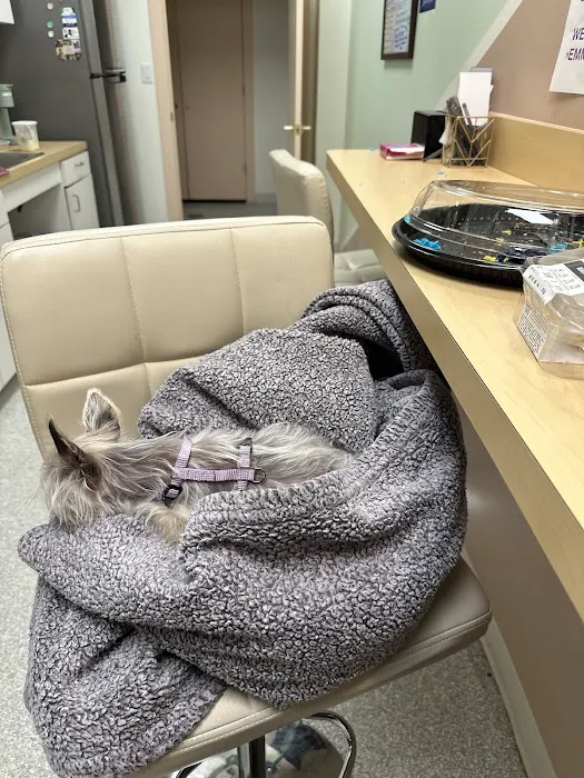 ASAP Vet: Veterinary Urgent Care Picture 1