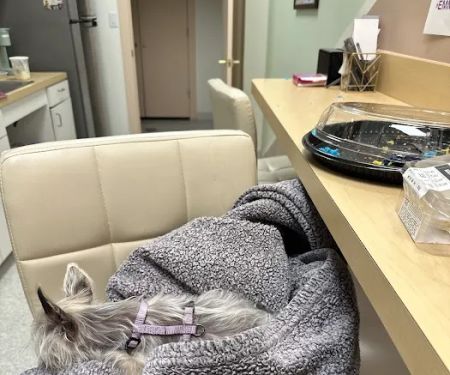 ASAP Vet: Veterinary Urgent Care