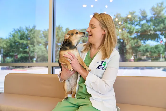 ASAP Vet: Veterinary Urgent Care Picture 6