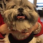 Austin Vet Care at Metric, A Thrive Pet Healthcare Partner