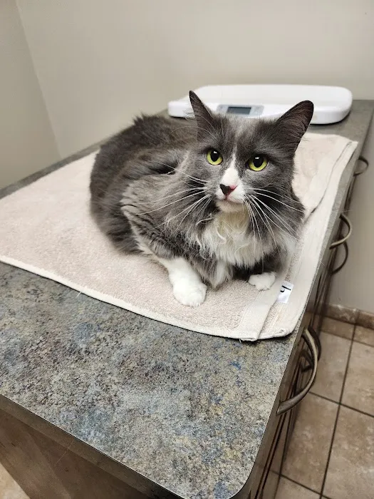 Tech Ridge Pet Hospital Picture 7