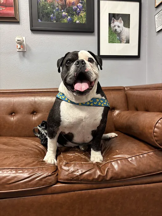 Star of Texas Veterinary Hospital Picture 7