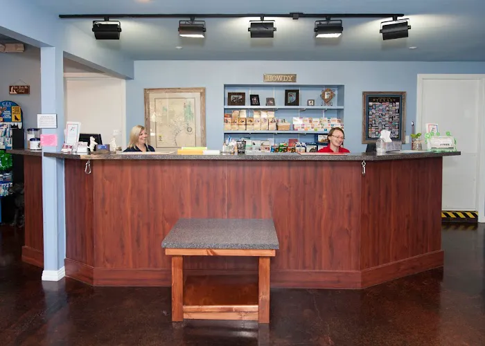 Star of Texas Veterinary Hospital Picture 6
