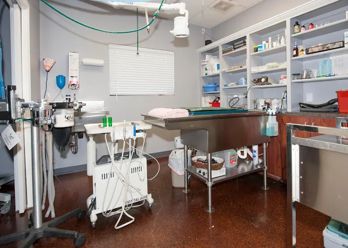 Star of Texas Veterinary Hospital Picture 2