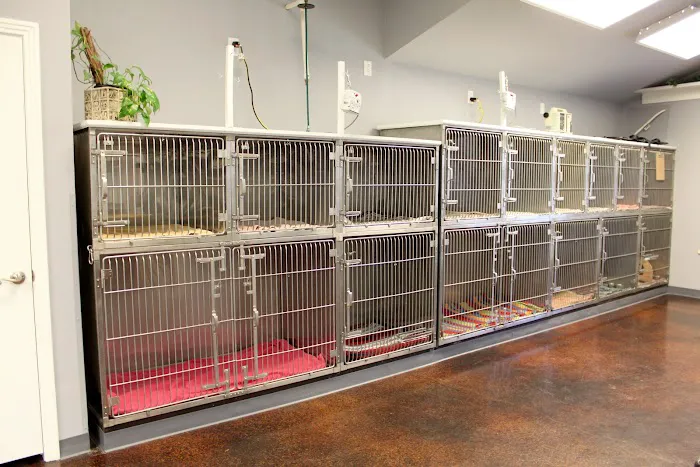 Star of Texas Veterinary Hospital Picture 3