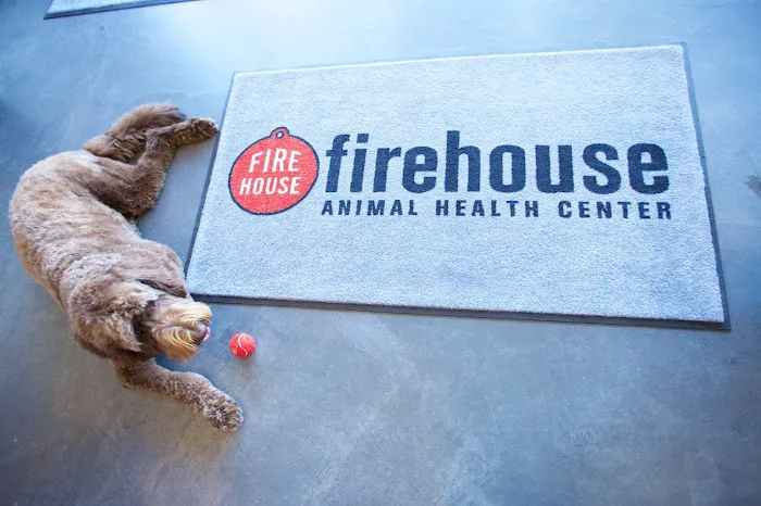 Firehouse Animal Health Center Belterra Picture 8
