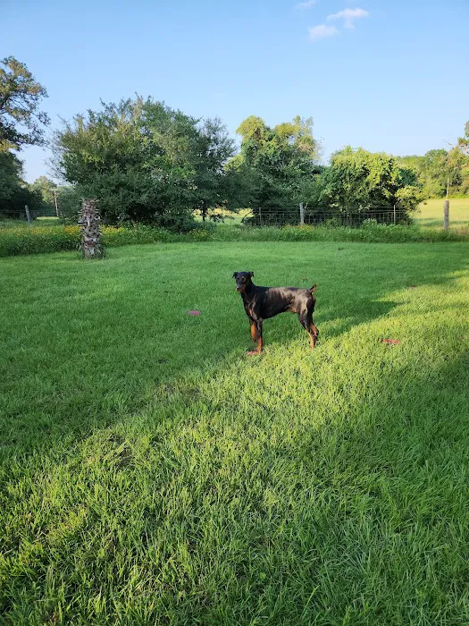 Paleface Veterinary Clinic Picture 9