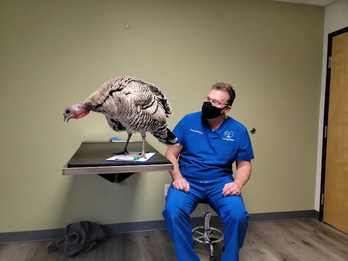 Loving Paws Veterinary Care, LLC Picture 6