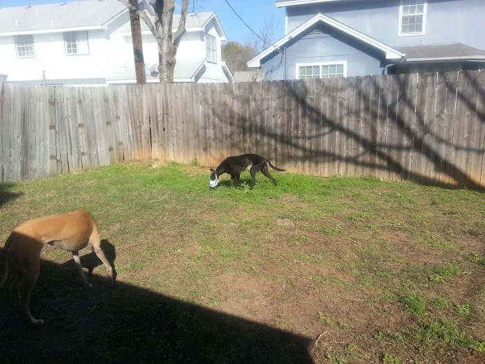 Crossing Animal Clinic Picture 6