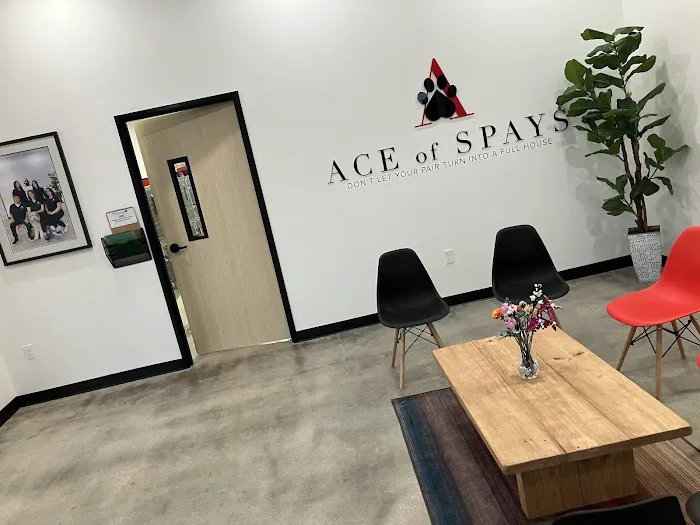 Ace of Spays Picture 1