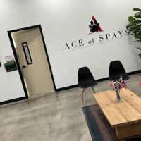 Ace of Spays ico