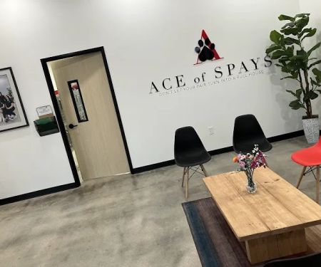 Ace of Spays
