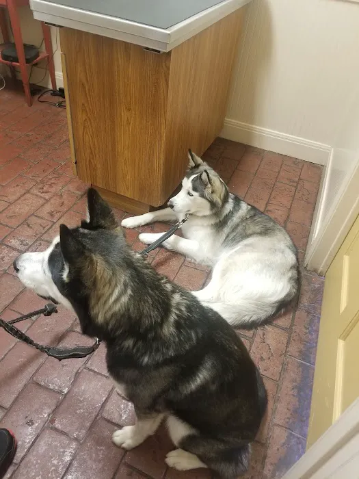 VCA Lakeline Animal Hospital Picture 4