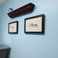 Northwest Austin Veterinary: Boston Billie DVM ico