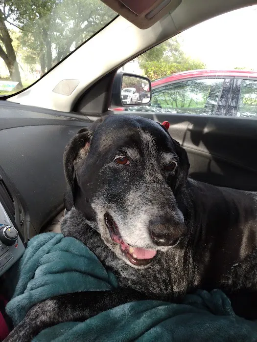 Northwest Austin Veterinary Center Picture 5