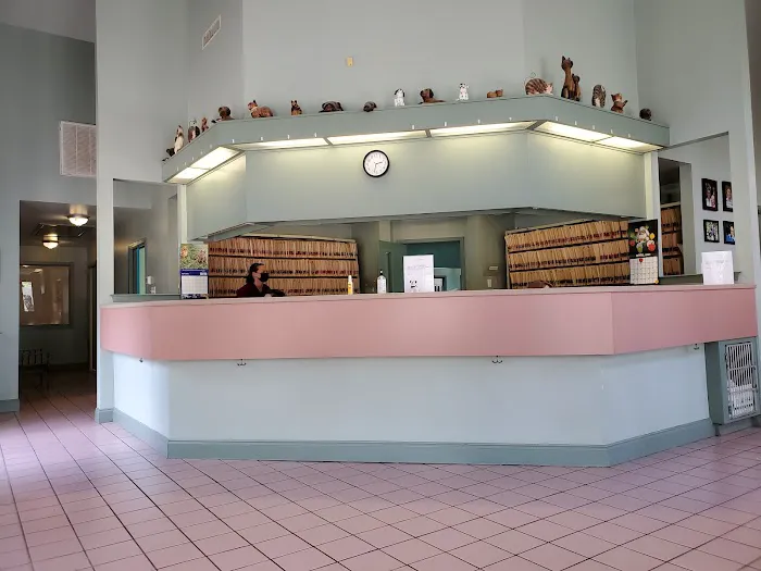 Northwest Austin Veterinary Center Picture 4