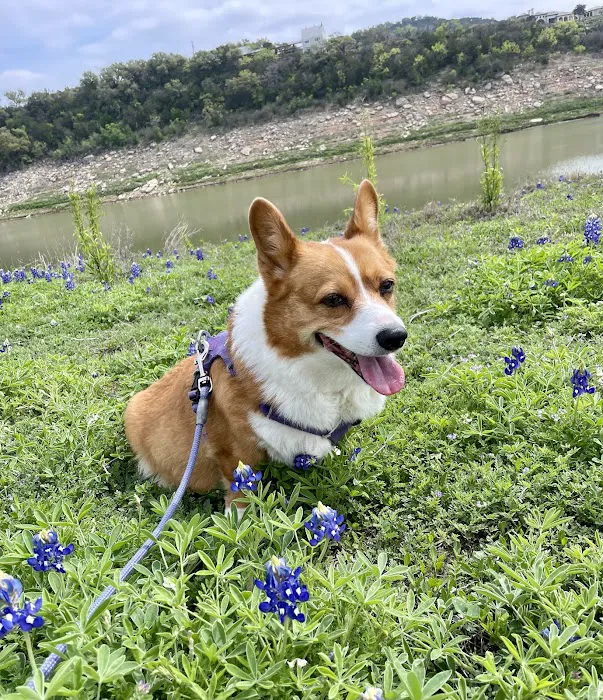 Northwest Austin Veterinary Center Picture 10