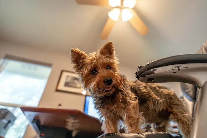Northwest Austin Veterinary Center Picture 6