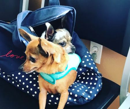 Wells Branch Pet & Bird Clinic